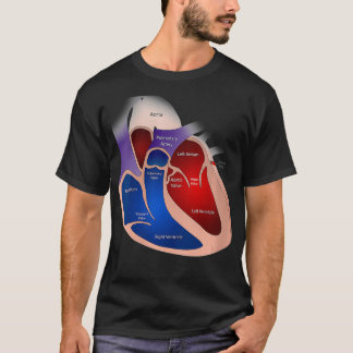 Womens Heart Anatomy VNeck T Shirt