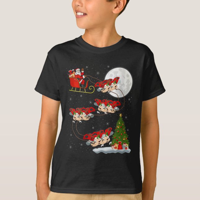 Womens Ladybug Ladybird Santa Sleigh Flying Funny  T Shirt (Framsida)