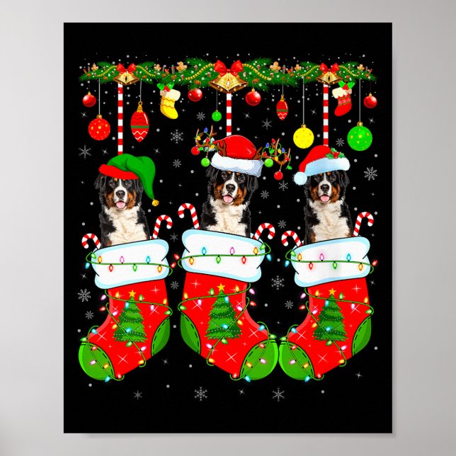 Womens Saint Bernard Dog In Christmas Socks Funny  Poster (Framsidan)