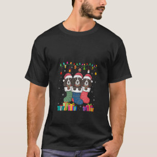 Womens Three Boykin Spain Hund in Sock Funny Boys T Shirt