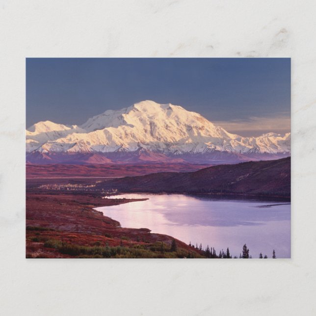 Wonder Lake och Mt. Denali vid soluppgången i Vykort (Framsida)