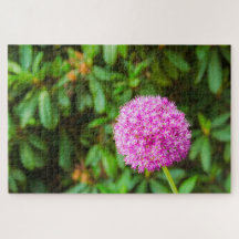 Wonderful Fuchsia-blomman vid Keukenhof, Nederländ