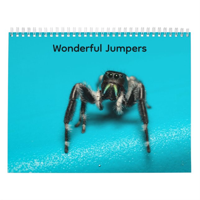 Wonderful Jumpers Kalender (Omslag)