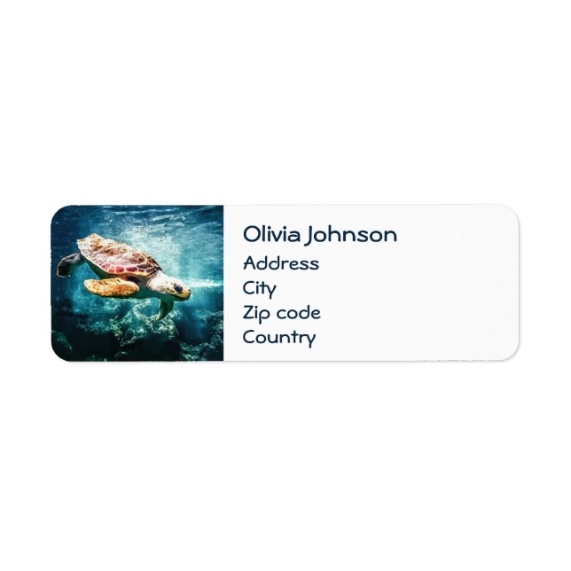 Wonderful Sea Turtle Ocean Life Turquise Sea Returadress Etikett (Framsidan)