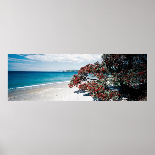 Wonderful Waiheke - Onetangi Beach Poster (Framsidan)