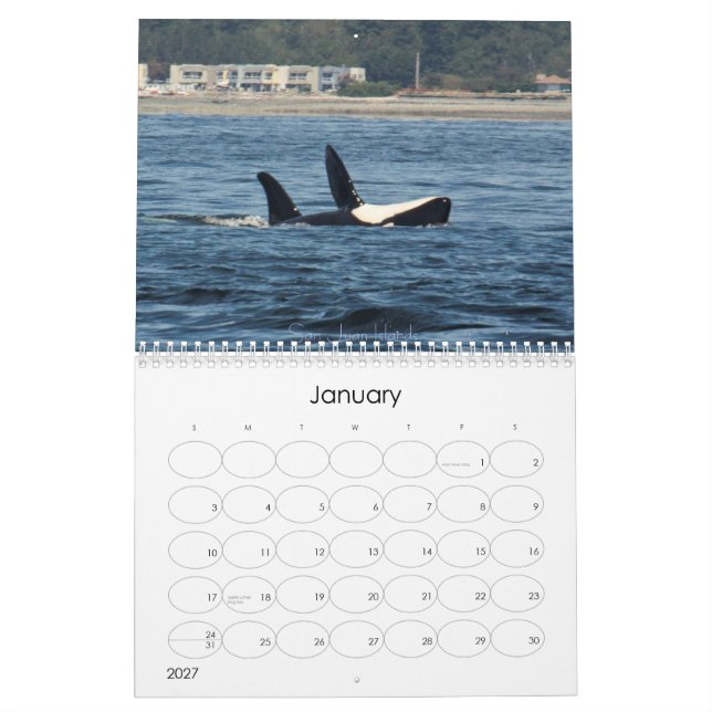 Wonderful World of Whales 2015 Calender Kalender (Jan 2027)