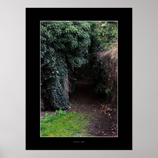 WONDERLAND Poster (Framsidan)