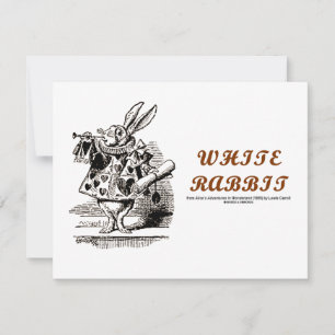 Wonderland White Rabbit