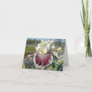 "WONDERS ALDRIG CEASE" Blank Iris Note Card Kort