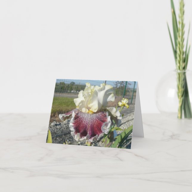 "WONDERS ALDRIG CEASE" Blank Iris Note Card Kort (Framsida)