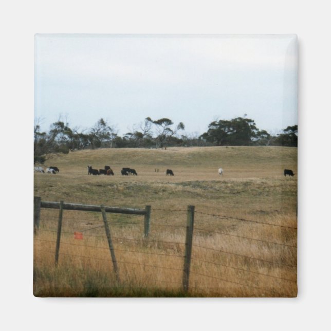 Wonthaggi Magnet (Framsidan)