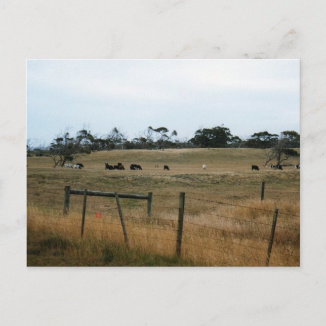 Wonthaggi Vykort (Framsida)