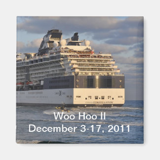 Woo Hoo II, 3-17 december 2011 Magnet