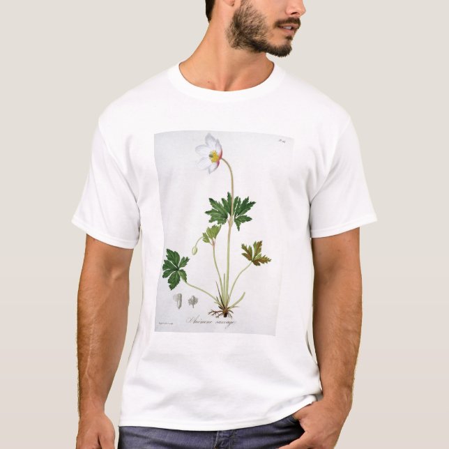 Wood anemon från "Phytographie Medicale" vid Josep Tee Shirt (Framsida)