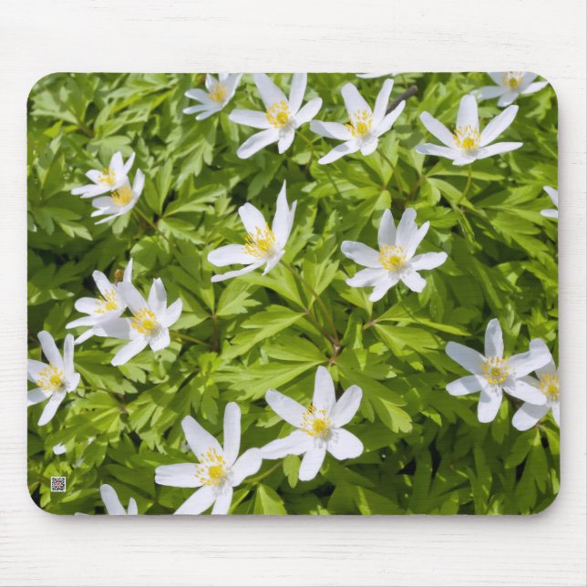 Wood Anemone Musmatta (Framsidan)