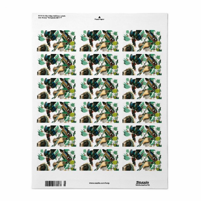 Wood Anka av John James Audubon Adressetikett (Helt Ark)