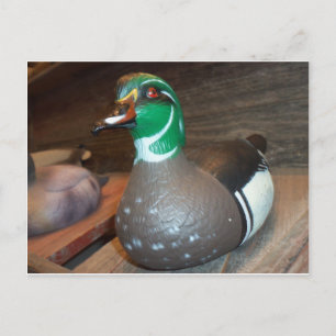 Wood Anka Decoy Vykort