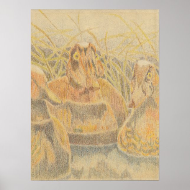 Wood Anka Decoys on Pond Poster (Framsidan)