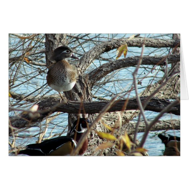 Wood Anka Hälsningskort (Framsidan Horizontal)