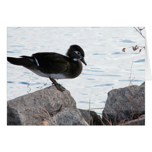 Wood Anka Hen Hälsningskort (Framsidan Horizontal)