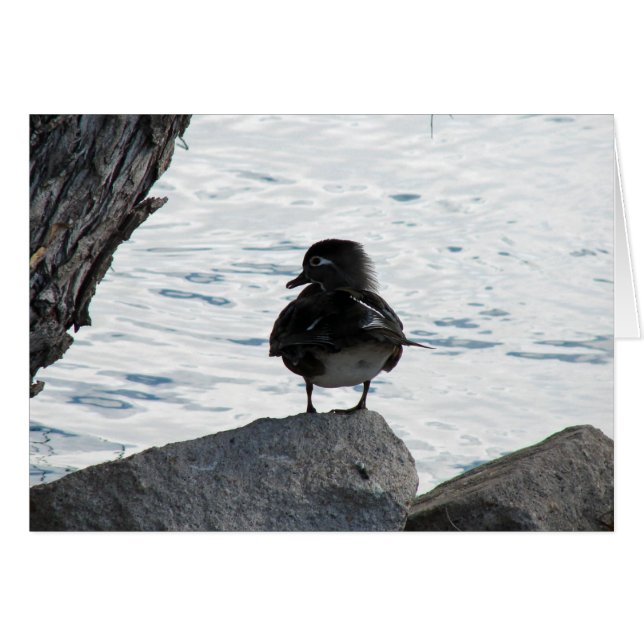 Wood Anka Hen Hälsningskort (Framsidan Horizontal)