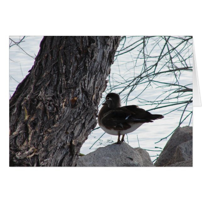 Wood Anka Hen Hälsningskort (Framsidan Horizontal)