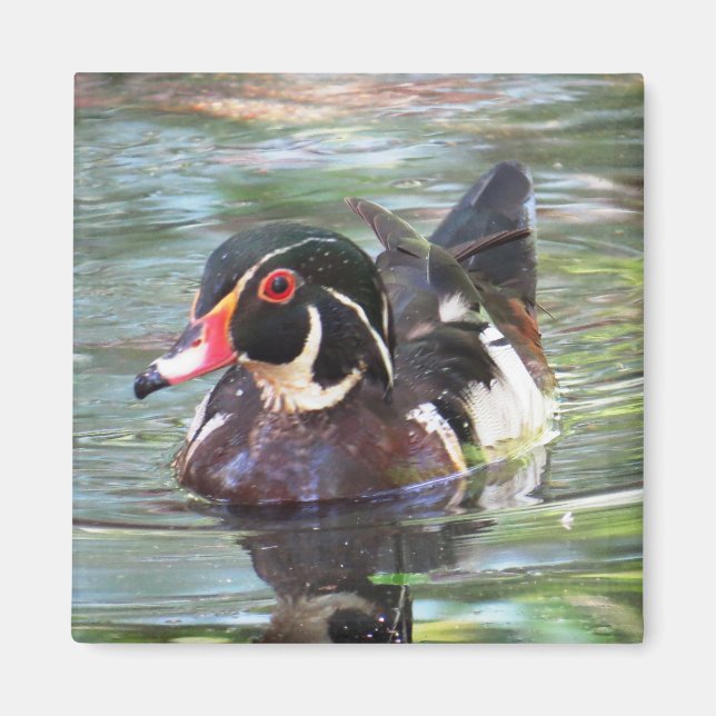 Wood Anka Magnet (Framsidan)