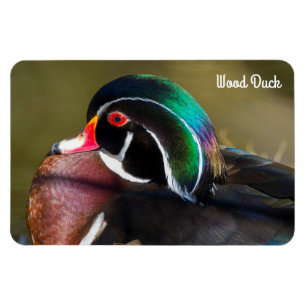 Wood Anka Magnet