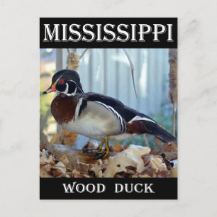 Wood Anka (Mississippi) Vykort