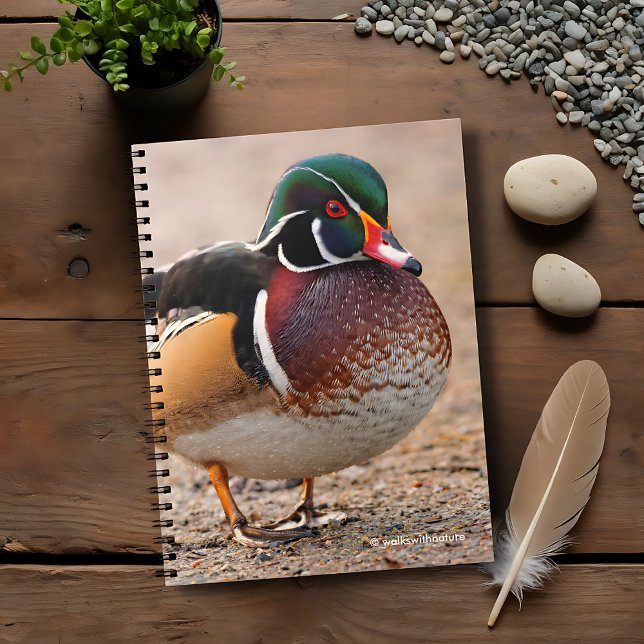 Wood Anka på Gravel Anteckningsbok (Wood Duck on Gravel Journal Cover Photo)