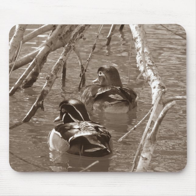 Wood Anka Pair i Sepia Musmatta (Framsidan)