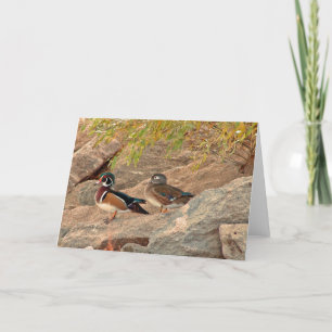 Wood Anka Pair Kort