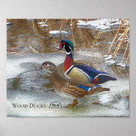 Wood Ankor på Muskegon River Poster