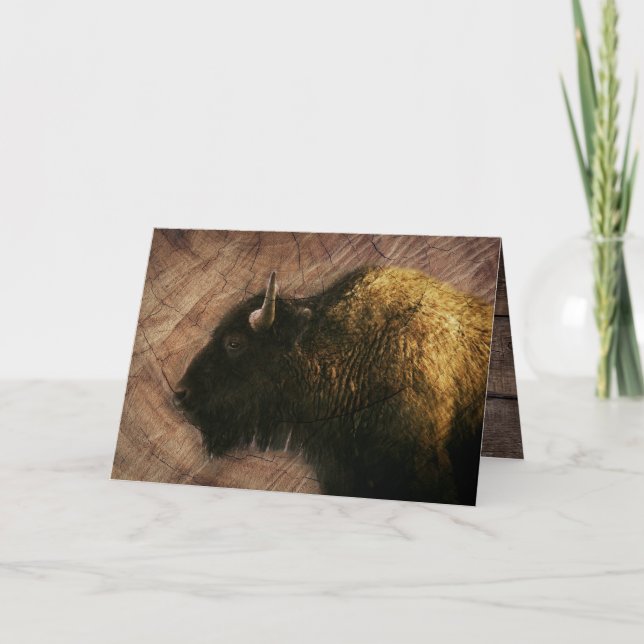 Wood Bison Buffalo Kort (Framsida)