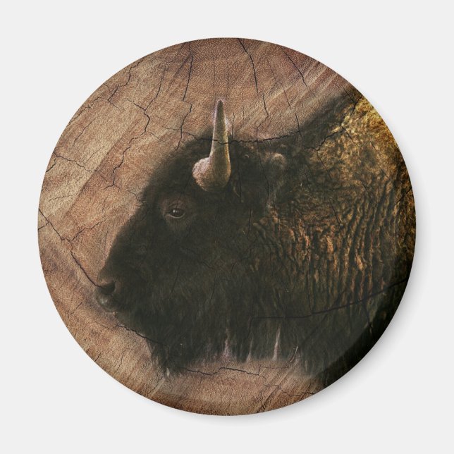 Wood Bison Buffalo Magnet (Framsidan)