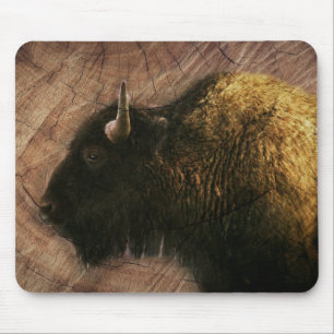 Wood Bison Buffalo Musmatta