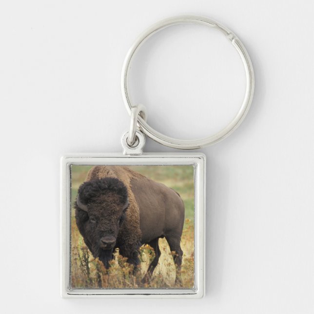 Wood Bison Keychain Fyrkantig Silverfärgad Nyckelring (Framsidan)