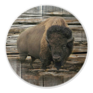 Wood Bison Knopp