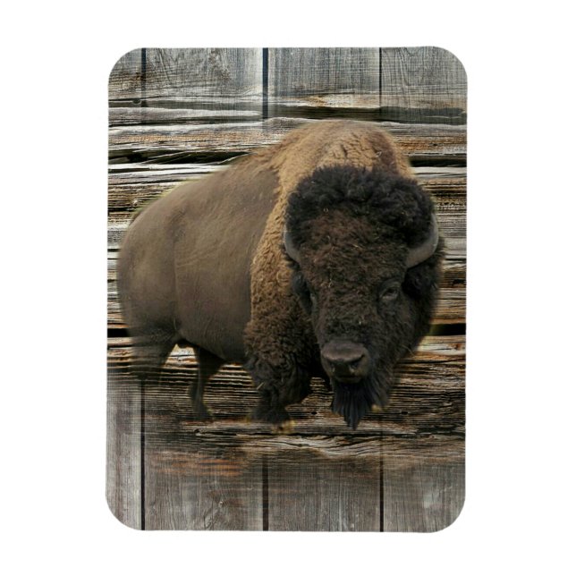 Wood Bison Magnet (Vertikal)