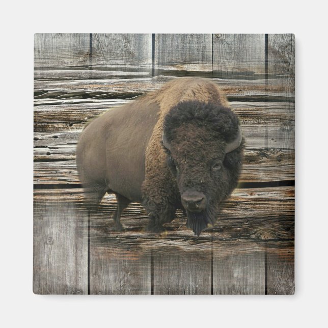 Wood Bison Magnet (Framsidan)