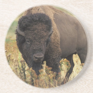 Wood Bisonkustfartyg Underlägg
