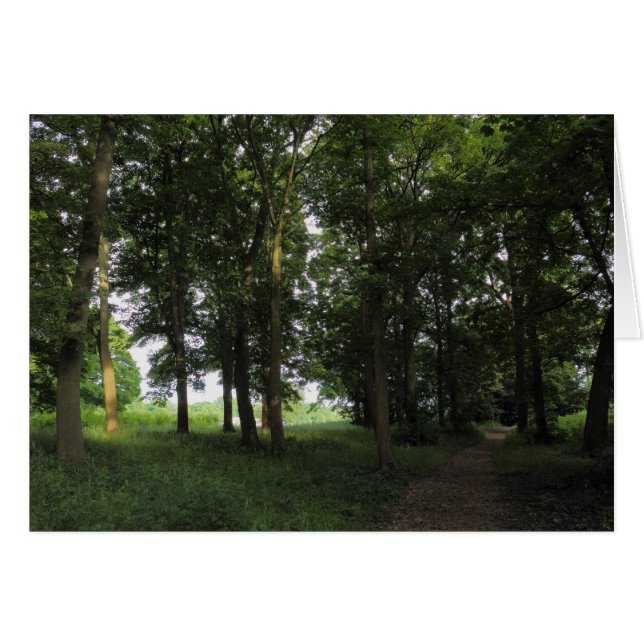 Wood, Bute Park Cardiff Hälsningskort (Framsidan Horizontal)