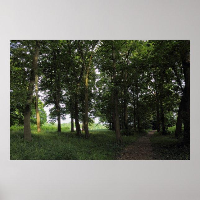 Wood, Bute Park Cardiff Poster (Framsidan)