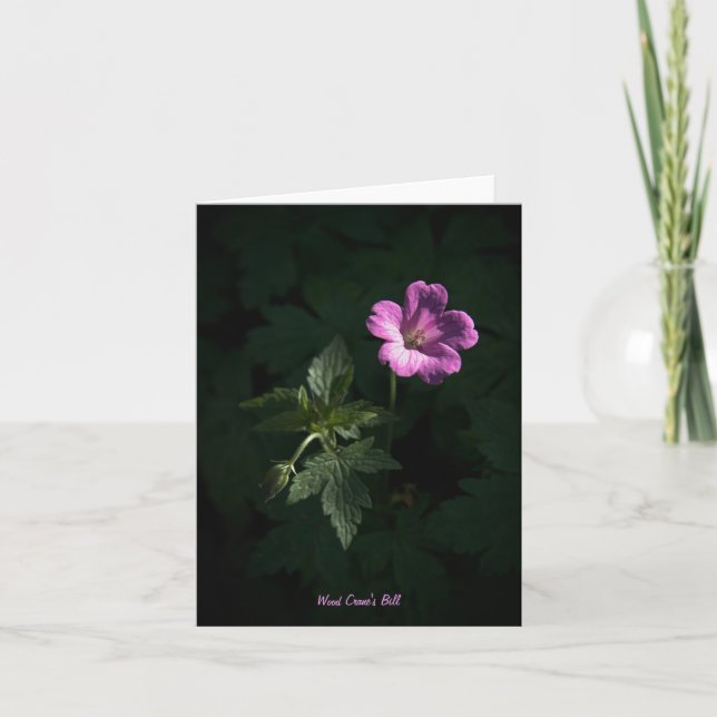 Wood Crane's Bill blank notelet/card Kort (Framsida)