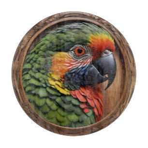 Wood Framed Australian Rainbow Lorikeet