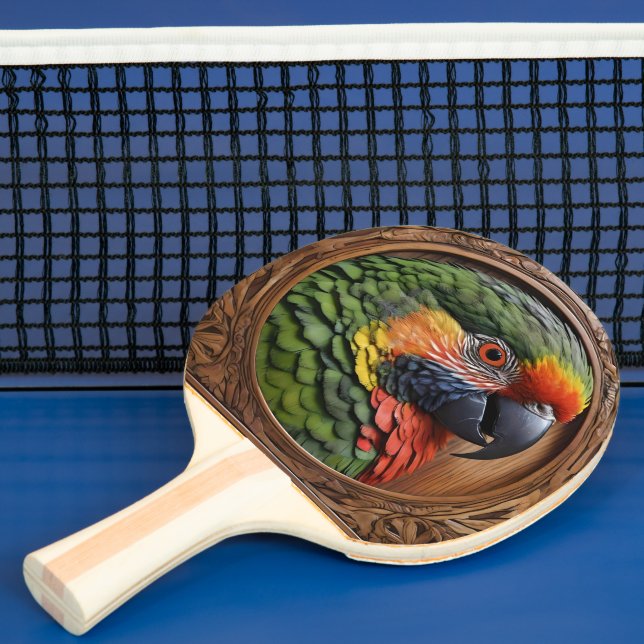 Wood Framed Australian Rainbow Lorikeet Pingisracket (Insitu)