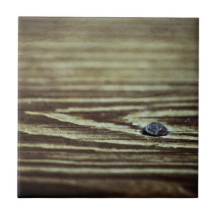 Wood Grain Struktur av Shirley Taylor Kakelplatta
