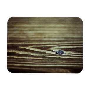 Wood Grain Struktur av Shirley Taylor Magnet