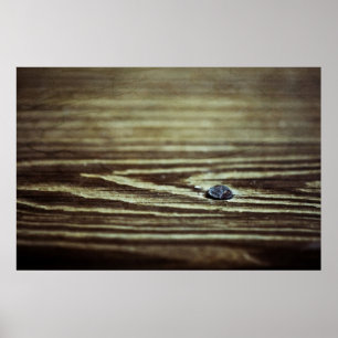 Wood Grain Struktur av Shirley Taylor Poster