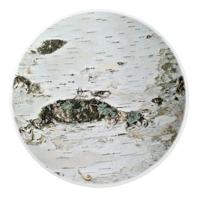 Wood lantliga enhetsknoppar för björk knopp (Framsidan)